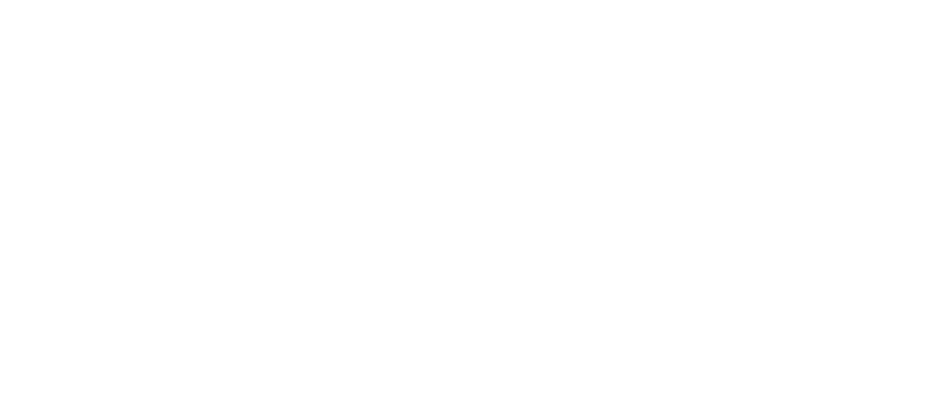 Wild Willow Magazine